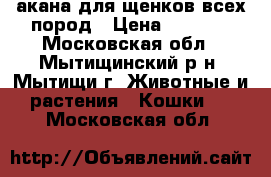 акана для щенков всех пород › Цена ­ 3 000 - Московская обл., Мытищинский р-н, Мытищи г. Животные и растения » Кошки   . Московская обл.